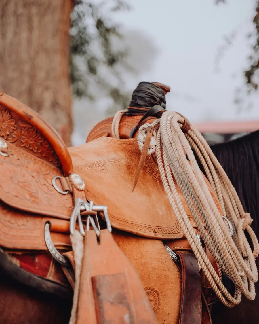 A western saddle and coiled rope, waiting